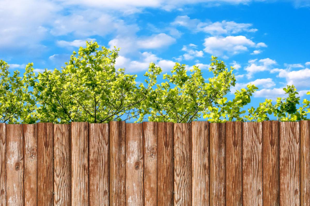 5 Benefits of Privacy Fence Installation