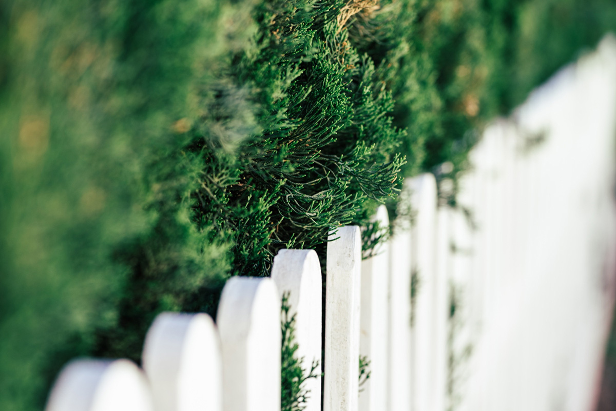 Tips and Tricks to Keep Your Home Safe and Secluded