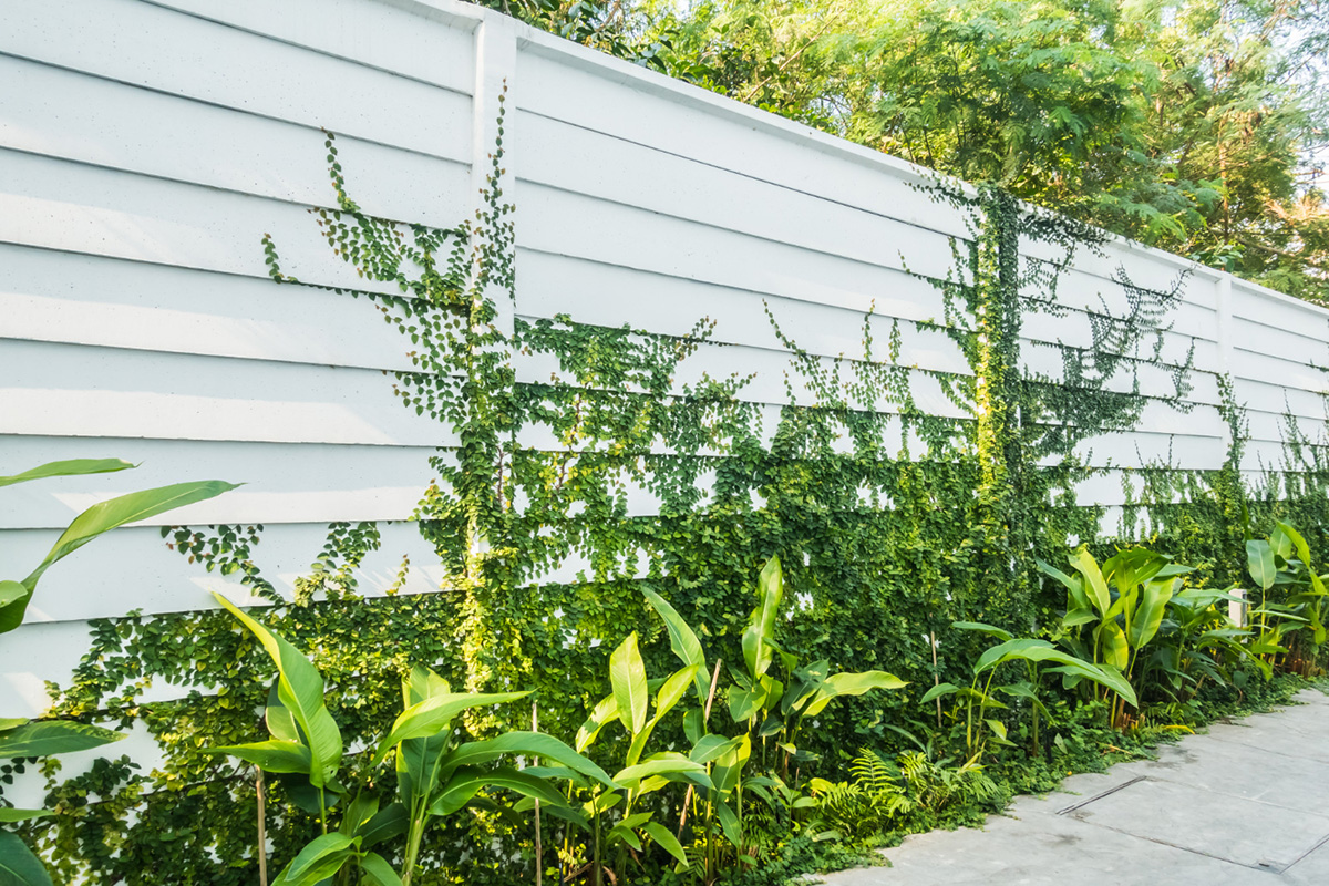 Benefits Of Installing A Horizontal Fence