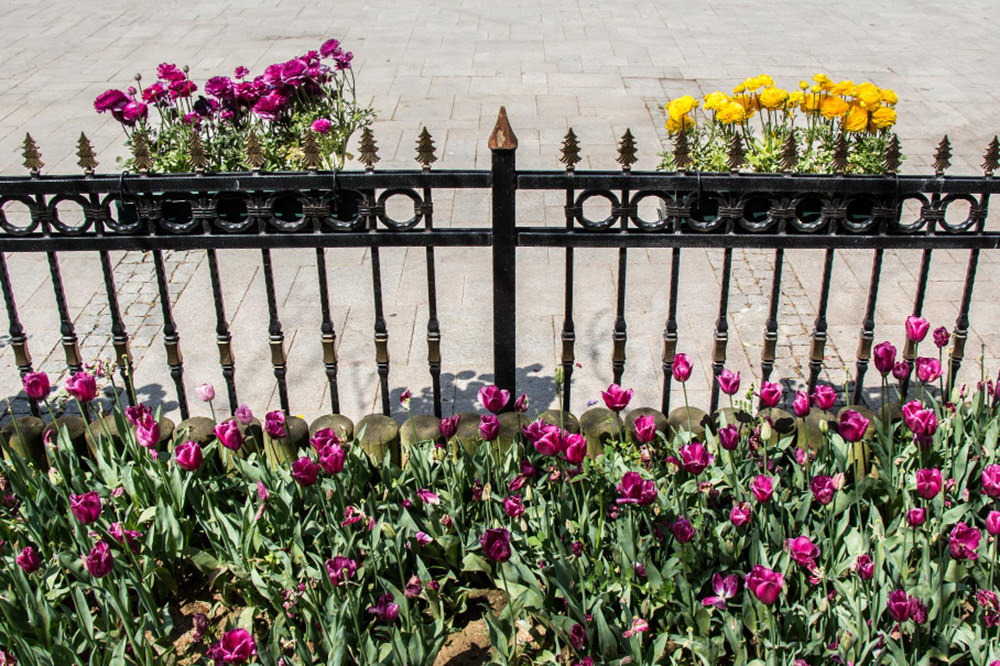 Transform Your Space with These Creative Decorative Fence Panel Ideas
