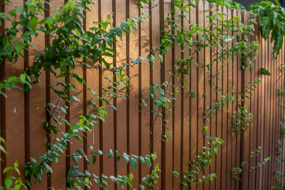 Wood Privacy Fence Style Options for Your Jacksonville Home