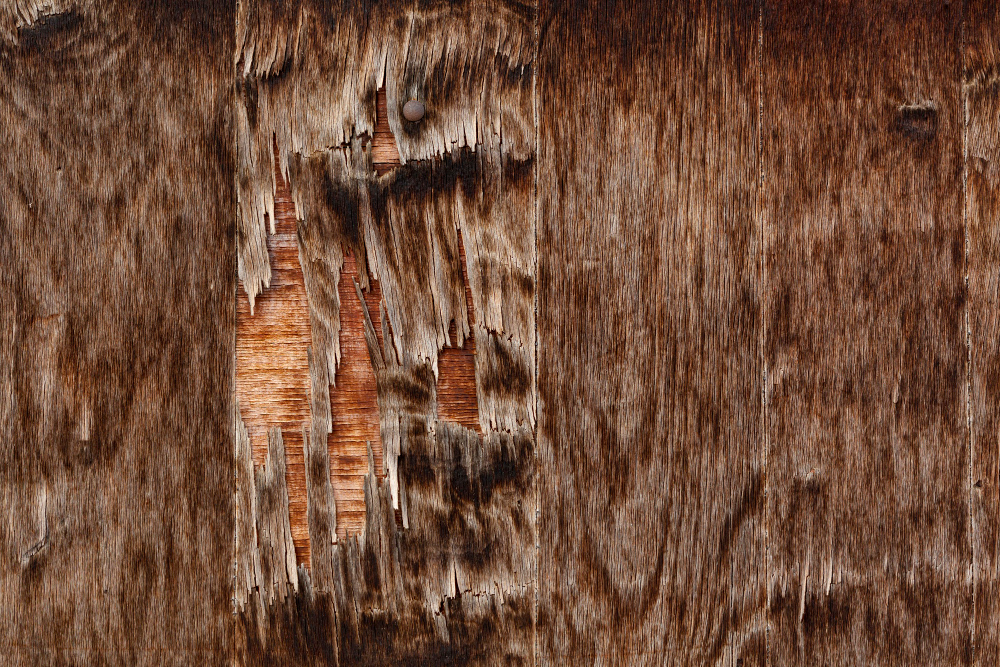 Reasons for Fence Board Warping and How to Prevent It