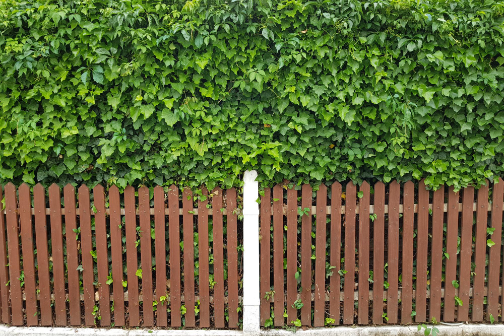 The Ultimate Guide to Replacing Your Fence
