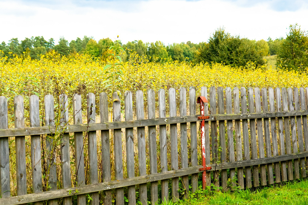 When Should I Consider Fence Replacement?