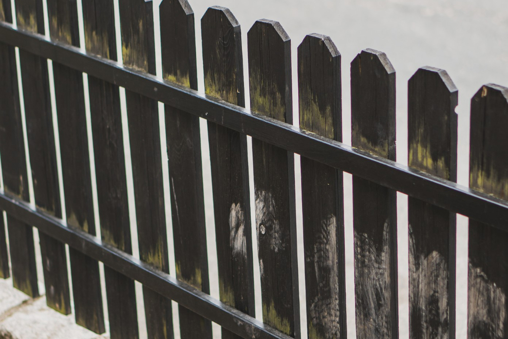 When To Replace Your Fence