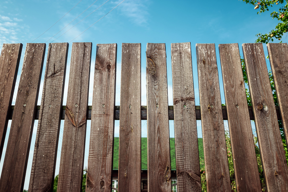 Top Fencing Trends to Look Out for in 2024