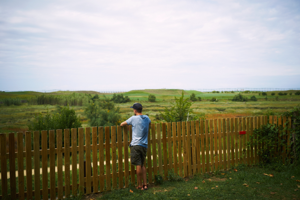 Questions to Consider When Choosing a Fence