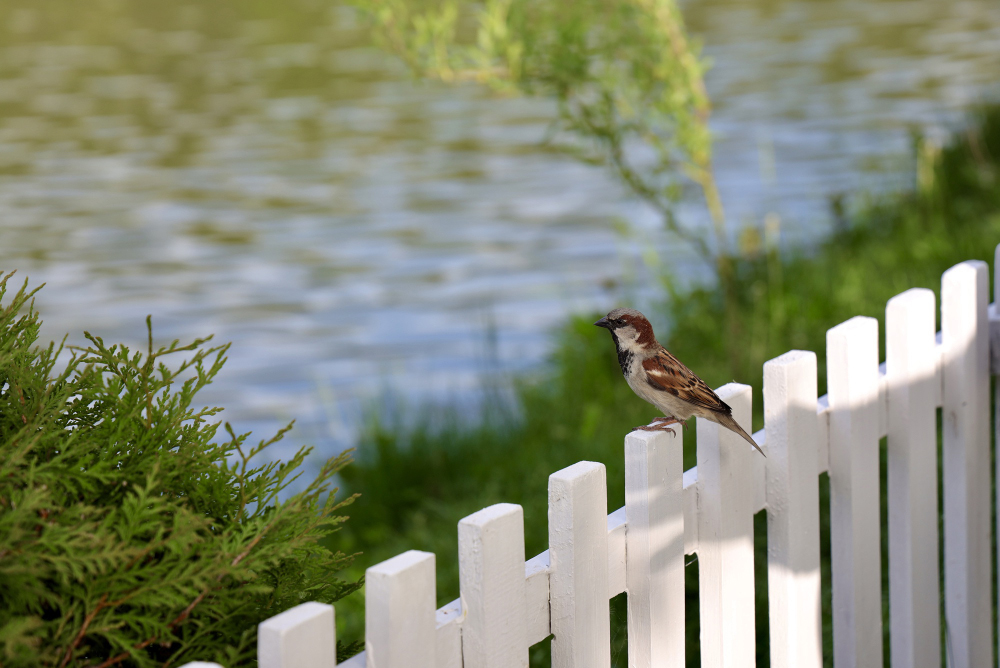 How Florida Weather Affects Your Fence