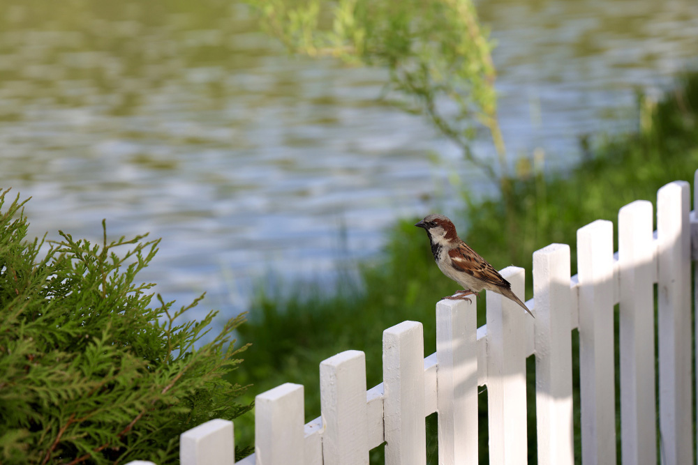How Jacksonville Weather Impacts Your Fence
