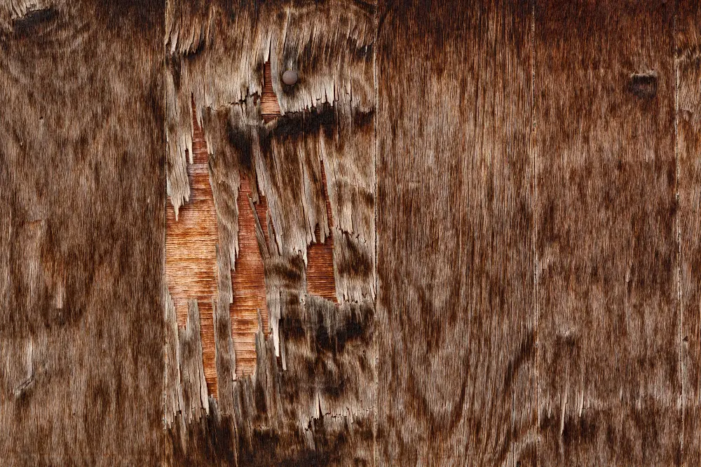 Reasons for Fence Board Warping and How to Prevent It